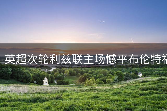 英超次轮利兹联主场憾平布伦特福德